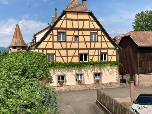 Joli Gite 2 Personnes En Alsace Guémar Eksteriør bilde